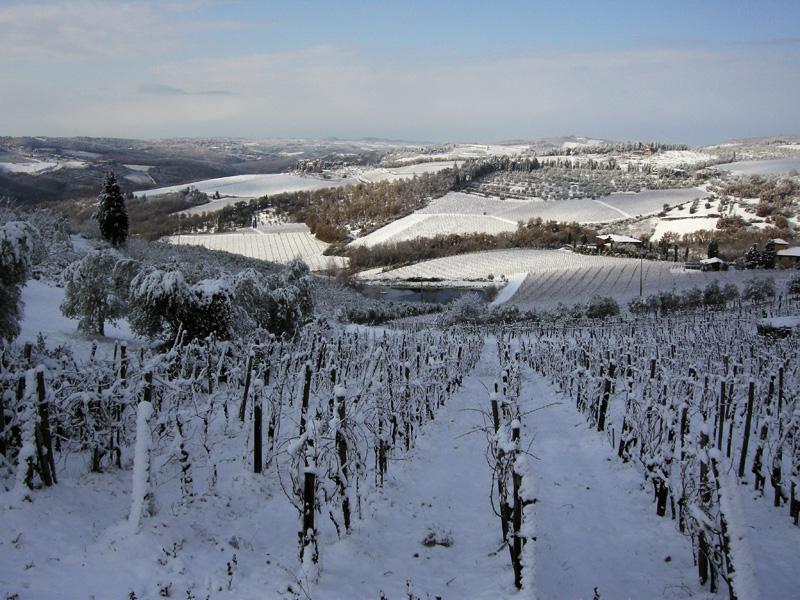 La magica atmosfera del Chianti innevato